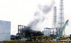 Radiation Spreads Worldwide. The Poisoning of Mother Earth