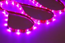 flexible LED strip light SMD5050 RGB non-waterproof