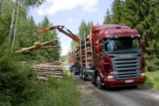 Timber Wholesale and Logistics