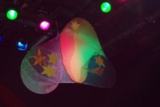 Stage costumes and decorations