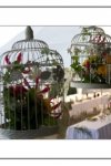 Flowers for weddings, anniversaries, birthdays, parties, funerals, etc