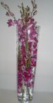 Flower care guide