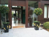 Flowers for WEDDINGS