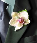 Bridal bouquets