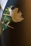 Bridal bouquets