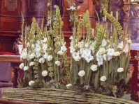 Wedding flowers and church decorations