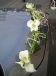 wedding flowers and car decorations