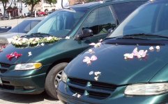 wedding flowers and car decorations