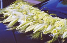wedding flowers and car decorations
