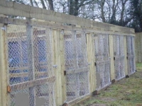 Dog Runs / Kennels Made To Measure