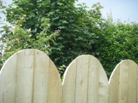 Timber Fencing / Decking / Side Gates - Made To Measure