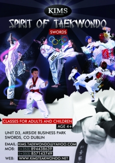 TAEKWONDO CLASSES FOR ADULTS AND CHILDREN SWORDS, DUBLIN