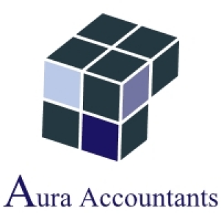 Professional accounting service