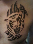 TATOO!!!!!!!!!!!!!!!!!!!!!!!!!!!!!!!!!!!!