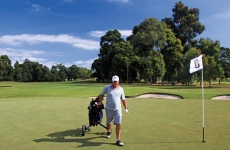 Martin Toner is the official golf coach for the Gathering