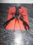 Spearfishing Dublin Club