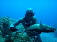Spearfishing Dublin Club