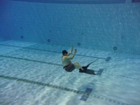 Spearfishing Dublin Club