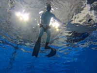 Spearfishing Dublin Club