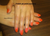 DUBLIN Blink blakstienu priauginimas ir ilgalaikis lakavimas (SHELLAC)