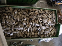 Be cautious of Safety Hazards Get Rid your Scrap Metal for Cash