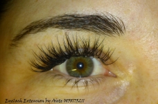 DUBLIN Blink blakstienu priauginimas ir ilgalaikis lakavimas (SHELLAC)