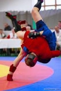 Combat Sambo Training in Dublin