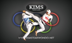 TAEKWONDO CLASSES FOR ADULTS AND CHILDREN SWORDS, DUBLIN