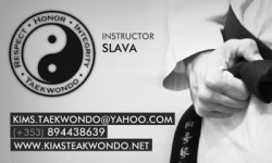 TAEKWONDO CLASSES FOR ADULTS AND CHILDREN SWORDS, DUBLIN