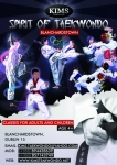 TAEKWONDO CLASSES FOR ADULTS AND CHILDREN SWORDS, DUBLIN