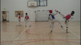 TAEKWONDO CLASSES FOR ADULTS AND CHILDREN SWORDS, DUBLIN