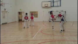 TAEKWONDO CLASSES FOR ADULTS AND CHILDREN SWORDS, DUBLIN