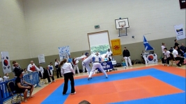 TAEKWONDO CLASSES FOR ADULTS AND CHILDREN SWORDS, DUBLIN