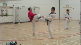 TAEKWONDO CLASSES FOR ADULTS AND CHILDREN SWORDS, DUBLIN