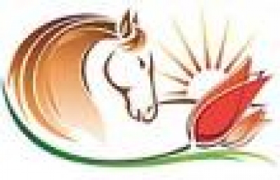 Regional festival of eco-tourism "Celebrated steppe"