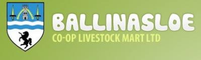 Are You Looking to Buy Sheep at Best Price ?
