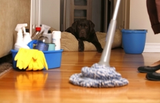 I can clean Your home !