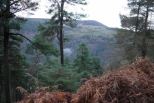 Wicklow Mountains - Camaderry, Tomaneena, St Kevins Road, Glendalaough
