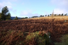 Wicklow Mountains - Camaderry, Tomaneena, St Kevins Road, Glendalaough