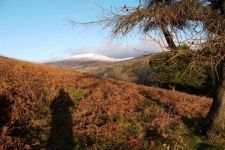 Wicklow Mountains - Camaderry, Tomaneena, St Kevins Road, Glendalaough