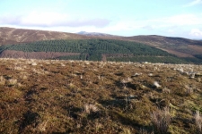 Wicklow Mountains - Camaderry, Tomaneena, St Kevins Road, Glendalaough