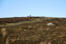 Wicklow Mountains - Camaderry, Tomaneena, St Kevins Road, Glendalaough