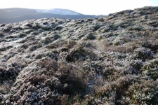 Wicklow Mountains - Camaderry, Tomaneena, St Kevins Road, Glendalaough