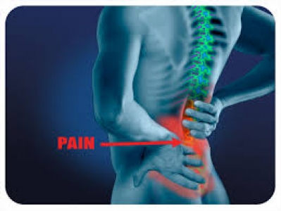 Physiotherapist/Masseur