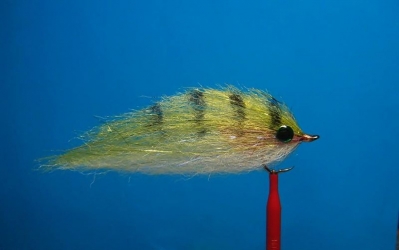 Fly fishing, all kinds of flies