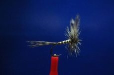Fly fishing, all kinds of flies