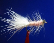 Fly fishing, all kinds of flies