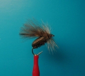 Fly fishing, all kinds of flies