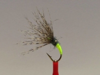 Fly fishing, all kinds of flies