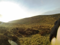 Training for Maamturks Challenge Week 7 Camaderry-Lugduff-Avonbeg-Caimin-Table Track-Conavalla-Lugduff Ridge-Camaderry